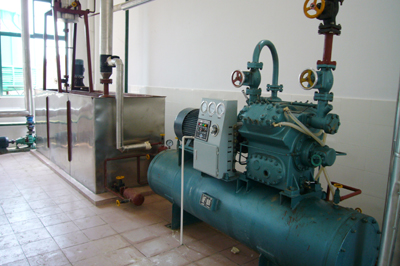 50噸--200噸棕櫚油精煉廠